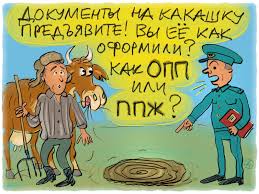 Картинки по запросу ты какашка