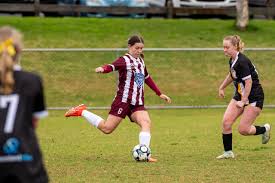 Image result for Warwick Wolves