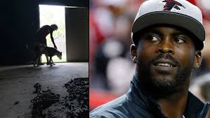 Image result for Michael Vick