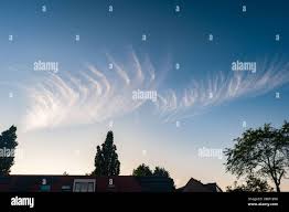 Attēlu rezultāti vaicājumam “Cirrus fibratus”