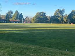 Image result for Blackheath Cricket Club
