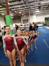 Image result for Epping Forest Elite Gymnastics Club