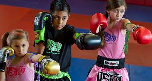 Image result for Vipers Thai/Kickboxing School