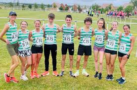 Image result for Alnwick Harriers