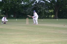 Image result for Potten End Cricket Club