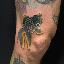 Image result for 出目金