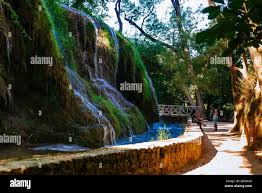 「parque los chor」の画像検索結果