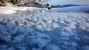 Attēlu rezultāti vaicājumam “Frost Flowers”