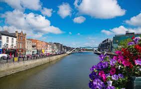 Image result for Louth Velo