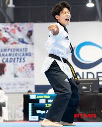 Image result for Utf Jaguar Tkd