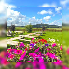 Image result for Ulster Flying Club