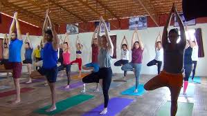 Image result for Hatha Yoga Club