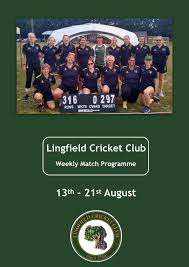 Image result for Lingfield Cricket Club