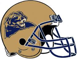 Image result for Hamilton Panthers Association Football Club