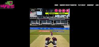 Image result for Wyvern Junior Badminton Club