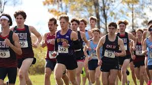 Image result for Westerlands Cross Country Club