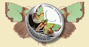 Attēlu rezultāti vaicājumam “Staurophora celsia”