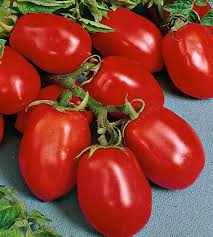 Afbeeldingsresultaat voor CDB tomato