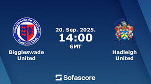 Image result for Hadleigh United Football Club