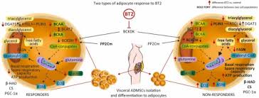 Image result for BCKA