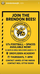 Image result for Brendon Bees Junior Football Club