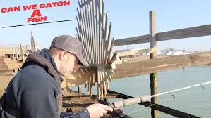 Image result for Newhaven Deep Sea Anglers