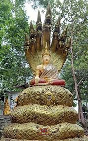 Kuvahaun tulos haulle nagas