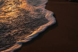 Image result for bilder