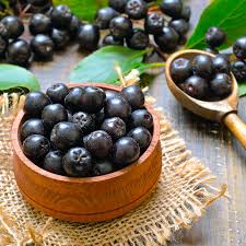 Attēlu rezultāti vaicājumam “Aronia melanocarpa fruit”