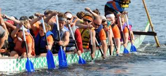 Image result for Wam Dragon Boat Racing Team