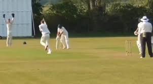 Image result for Horsley & Send Cricket Club