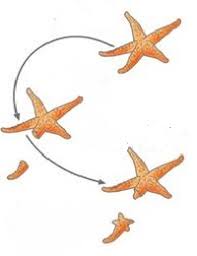 gamravlebis-ის სურათის შედეგი