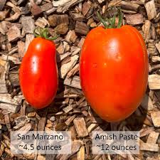 Afbeeldingsresultaat voor amish paste tomato