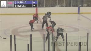 Image result for Basingstoke Buffalo