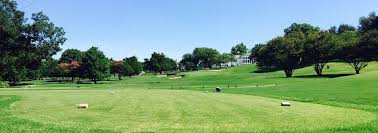 Image result for Thorn Park L T C