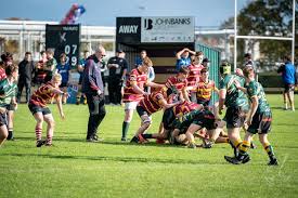 Image result for Ipswich Ym Rugby Union Football Club