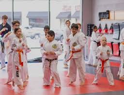 Image result for KA Martial Arts John's Creek