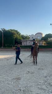 Image result for East Flegg Riding Club