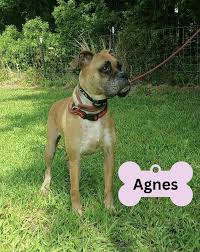 Image result for Backwell Sc