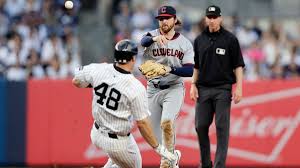 Image result for Schneemann