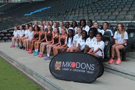 Image result for Mk Netters Netball Club