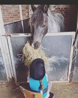 Image result for Weybridge Equestrian Centre