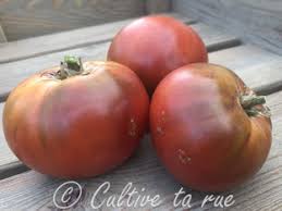 Afbeeldingsresultaat voor marizol purple tomato