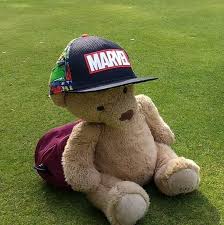 Image result for Albany Park Bowls Club