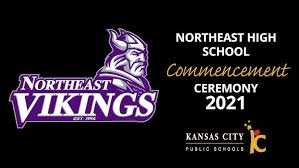 Image result for North East Vikings