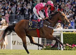 Image result for Oxted Runners