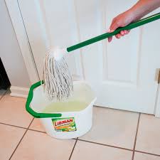 Image result for mop tehron