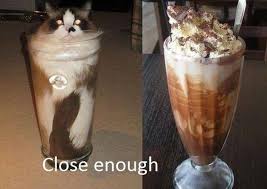 Image result for lulcatz