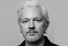 Image result for julian assange