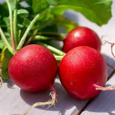 Image result for Radieschen